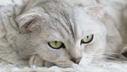 特色伴游路线